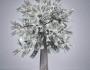 FIVE TOP MONEY TREE PRINCIPLES